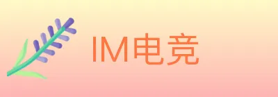 IM电竞 logo